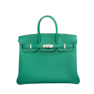 Hermès Birkin 25 Togo Vert Vertigo Palladium Hardware