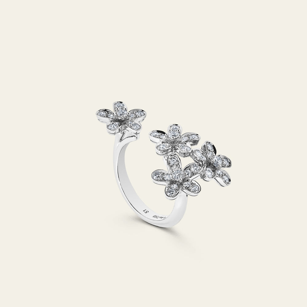Van Cleef & Arpels Socrate Between the Finger Ring - View 3