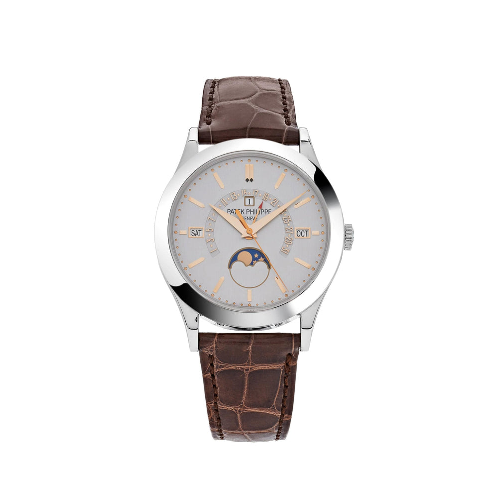 Patek Philippe Grand Complications 5496P-015 Perpetual Calendar Moon Phases Platinum Silver Dial (2017) - View 4
